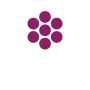 okada-c